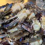 Fresh Crabs