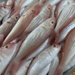 Fresh Threadfin Bream
