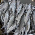 Fresh Milk Fish