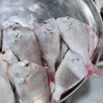 Fresh Andag Fish