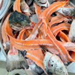 Salmon fish head