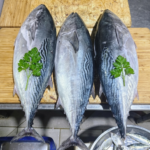 Fresh Tuna fish