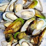 Green mussles fish