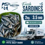 Fresh Sardines