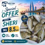 Fresh Sheri